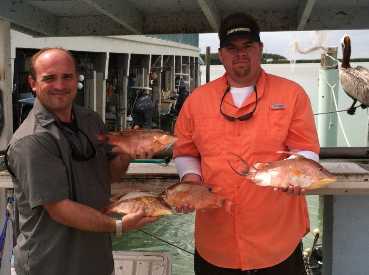 mangrove snapper Fishing Islamorada
