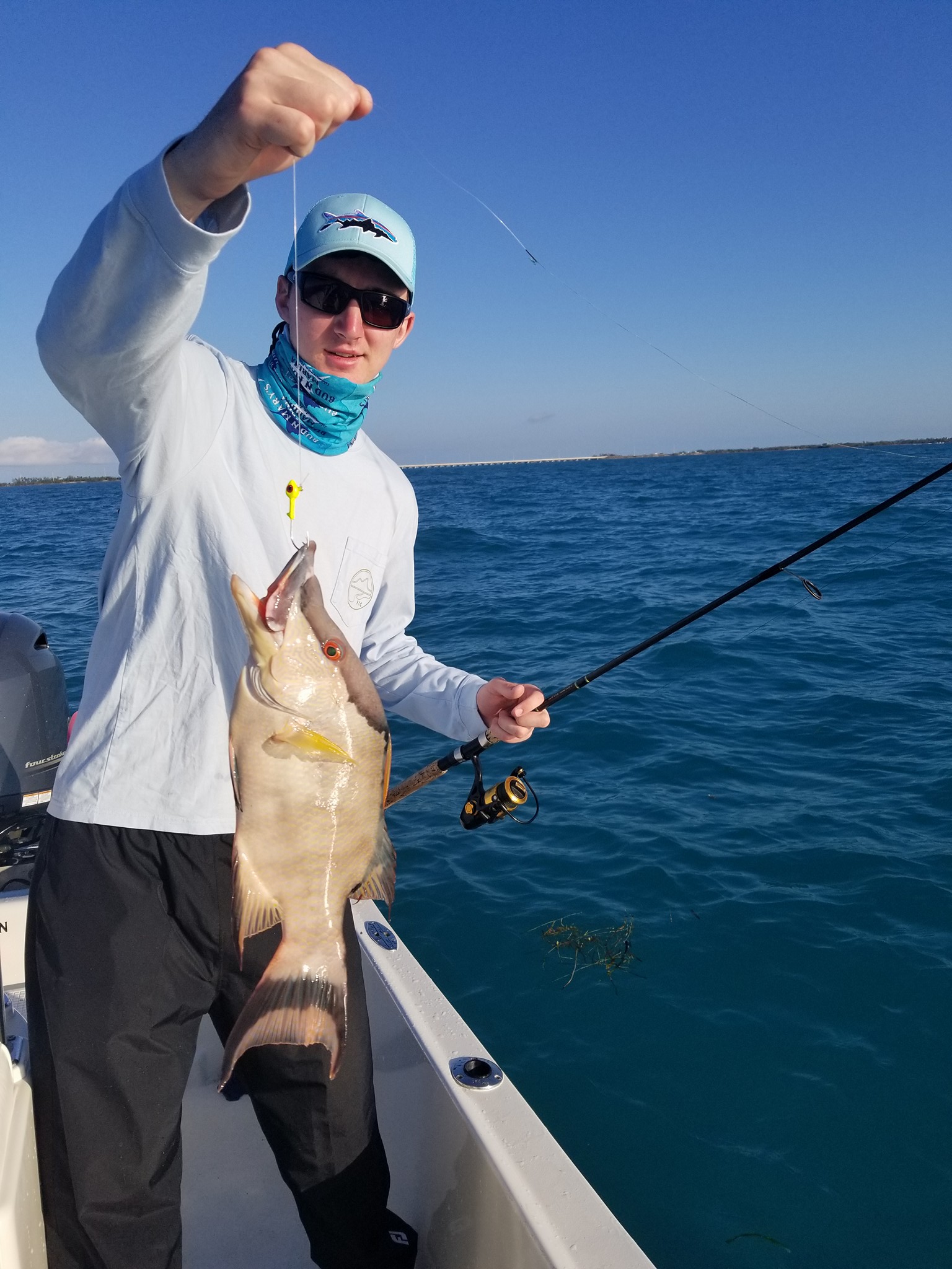 31118hogfish Fishing Islamorada